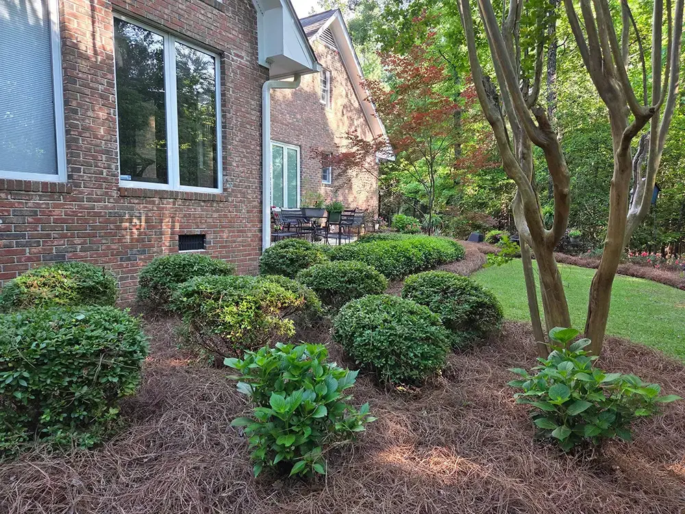 Residential lawn maintenance
